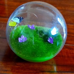 Butterfly Ball Cat Toy